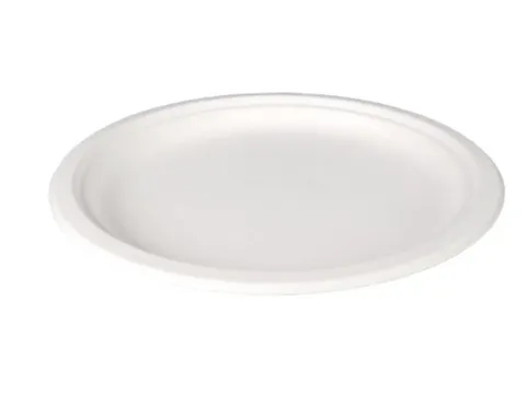 Bord Rond 1-vaks Bagasse 26cm Wit doos 500st