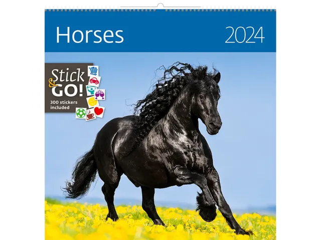 Kalender 2027 Helma 365 30x30cm paarden