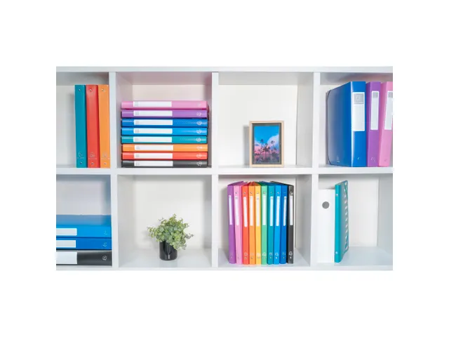 Klasseerdoos PP rug 25mm A4 rood