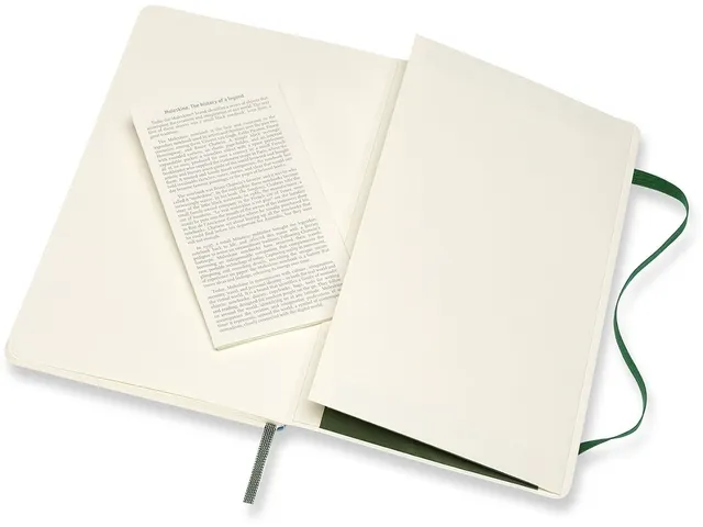 Carnet de notes Moleskine L 130x210mm uni vert myrte
