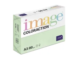 Kopieerpapier Forrest Middelgroen A3 160 Gram 500 Vel
