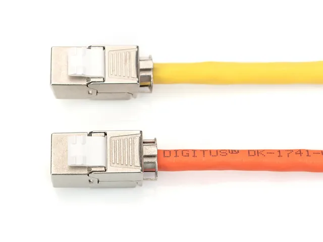 Digitus Cat 6A Keystone Modul