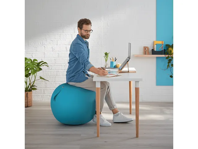Leitz Ergo Cosy Actieve Zitbal Fluweel Sereen Blauw