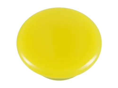 Magneet Westcott assorti kleur pak à 12st. Ø 20x8mm. assorti kleuren