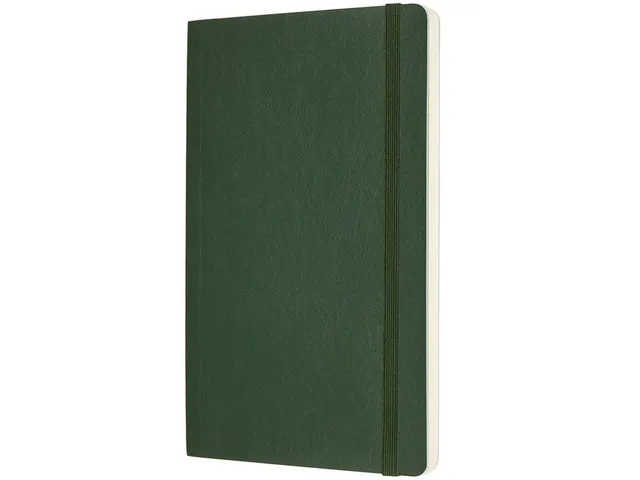 Carnet de notes Moleskine L 130x210mm uni vert myrte