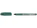 Rollerball Schneider Zippi wild pirates