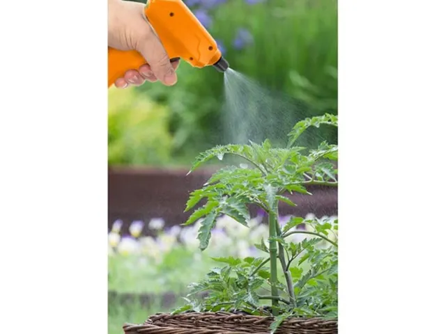 Druksproeier Met Herlaadbare Batterij 1 Liter