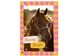 Wenskaart Hallmark uitnodiging paarden pak à 6 stuks