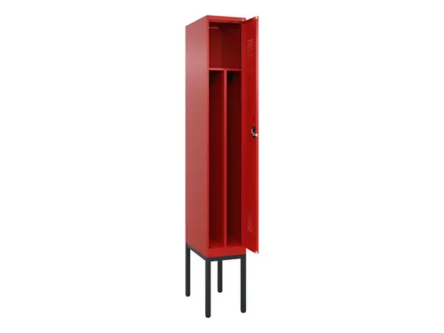locker voor scheiding van kleding,HxBxD 2120x300x500mm,1vak