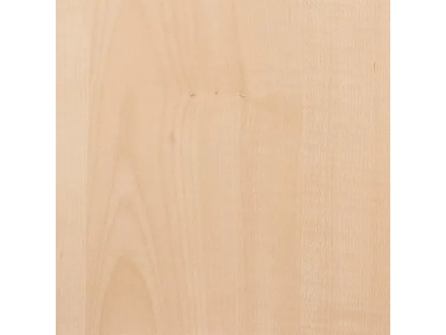 vergadertafel HxBxD 72x200x90cm ovaal Esdoorn 4voeten Alu ronde buis