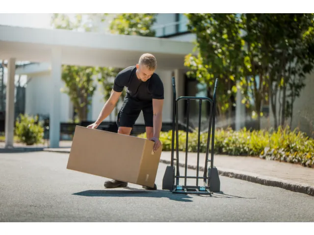 Steekwagen,Draagverm. 250Kg,Lucht-Banden,Inklapbare Steekplaat,Zwart