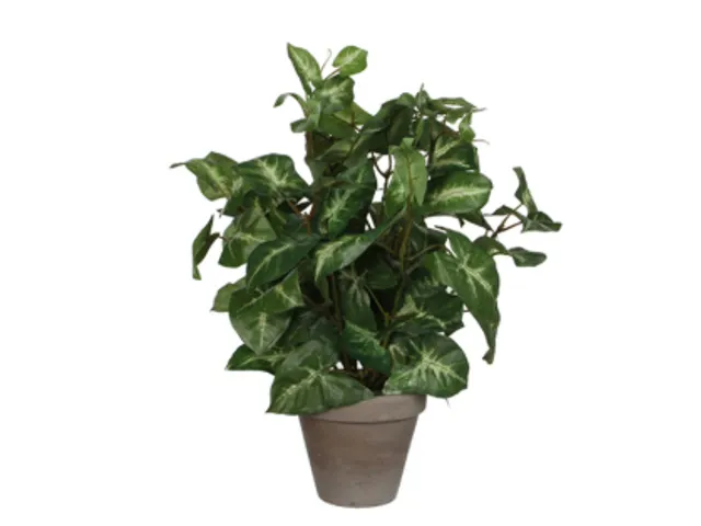 Kunstplant Mica Syngonium groen in pot 35x25cm