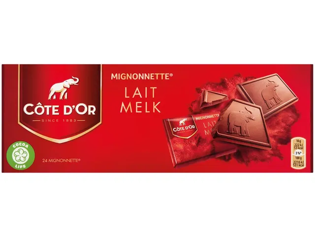 Mignonnettes chocolat, lait, 10 g, boîte de 24 pièces, emballé sép