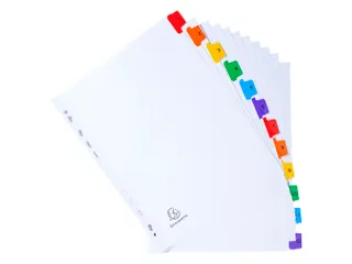 Tabblad Karton 160 Gram A4 + index 12 tabs wit - 4