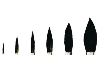 Penseel Pelikan 23 nr 12 - 2