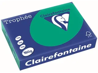Trophée Intens gekleurd papier A4 160 gram 250vel Dennengroen - 2