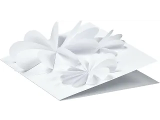 Fotokarton Folia 300gr 50x70cm 00 wit - 5