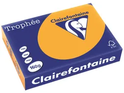 Trophée Pastel gekleurd papier A4 160 gram 250vel Oranje