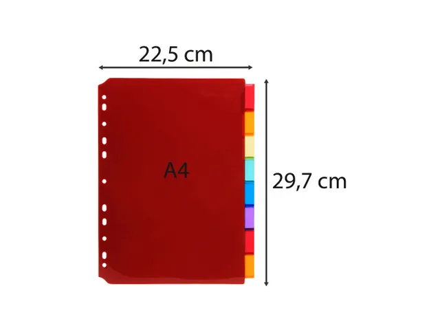 Tabbladen PP A4 8 tabs personalis.