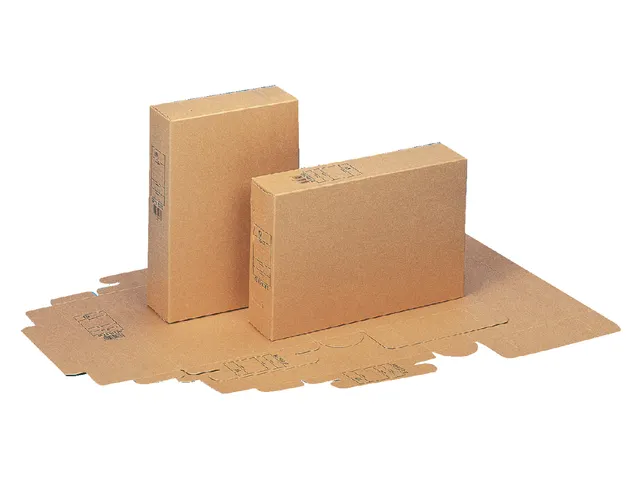 Archiefdoos A4 Esselte Met Bedrukking Bruin Zuurvrij