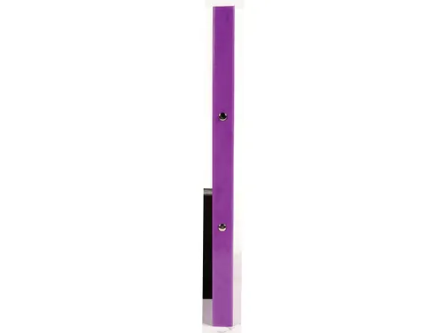 Ringmap IDERAMA A4 4R 15mm paars