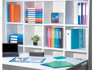 Elastobox A4 Rug Van 25mm PP Assorti Kleuren - 4
