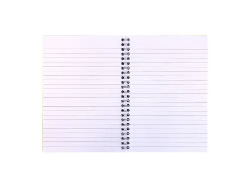 Notitieboek Pukka Jotta A5 lijn 55vel/110pagina's 80 gram groen