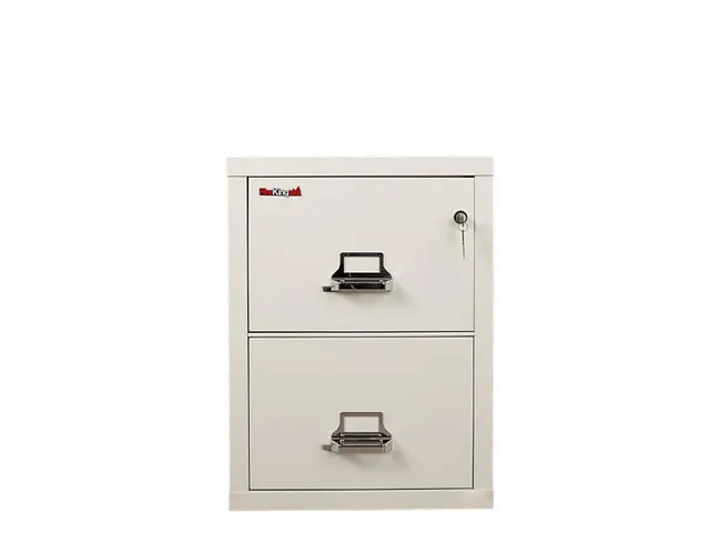 Brandwerende Ladekast Fire King 21 Fk 2-21sp 2 Laden