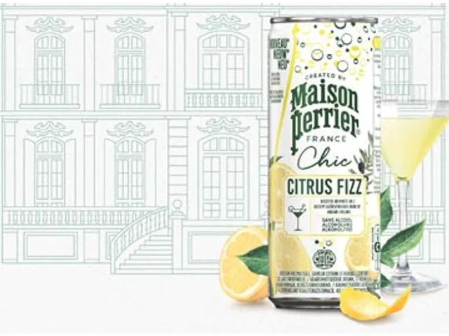 Mocktail Citrus Fizz Blik 25 CL Pak 4 Stuks