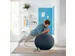 Leitz Ergo Cosy Actieve Zitbal Fluweel Grijs