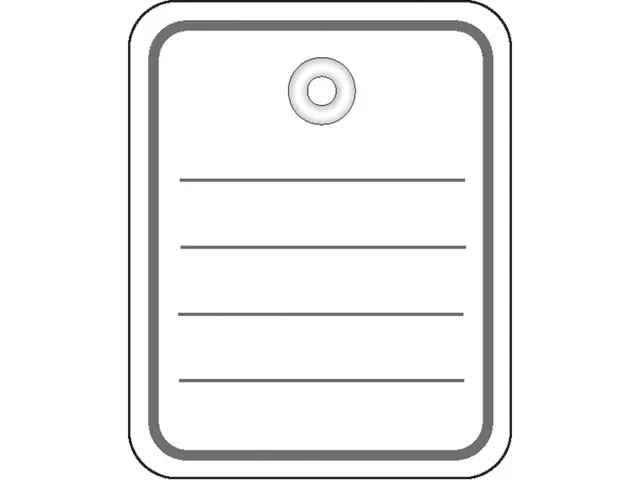 Herma 6841 Productlabel 48x65mm met oogje en draad Wit 1000 stuks