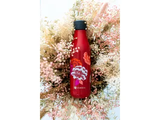 Thermosfles Les Artistes Paris 500ml Asian Vibe - 8
