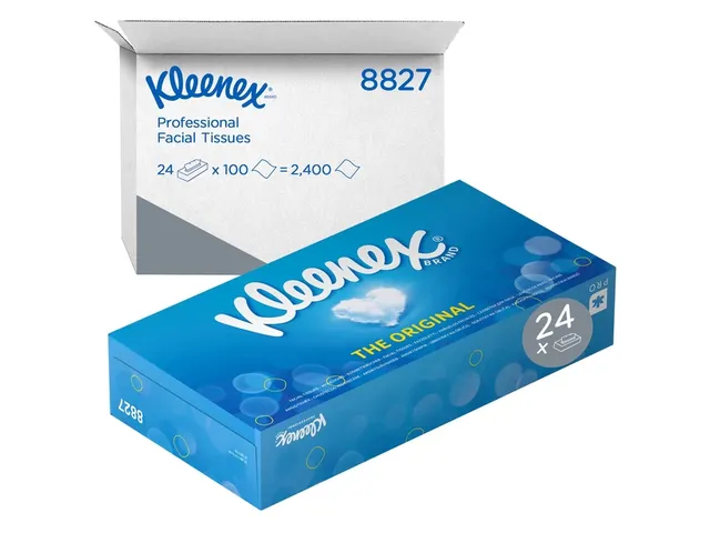 Facial tissues Kleenex 2-laags 100 vel wit 8827