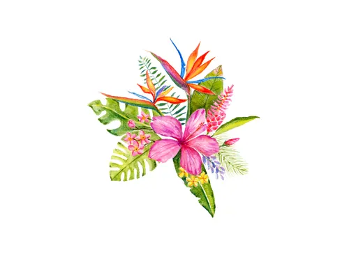 Aquarelpotlood Faber-Castell Goldfaber Tropical Blossoms kartonetui 12