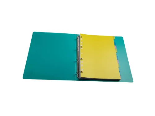Tabbladen PP FOREVER YOUNG A4 12 tabs