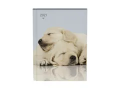 Agenda 2021 my favourite friends dogs