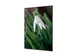 Wanddecoratie Textiel Set A2 Witte Bloem Sneeuwklokje