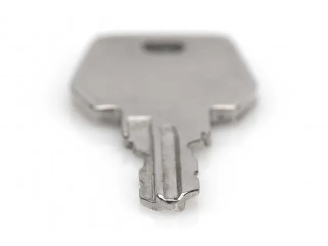 Sleutel voor FS Unique SRV & FS Dynamic WM Slim & DVR 1 stuk Type 9473