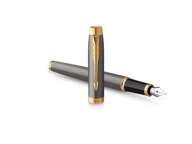 Stylo plume Parker IM Collection Grey GT Fin
