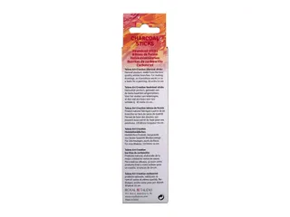 Talens Art Creation houtskool sticks 10 stuks - 4