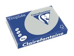 Trophée Pastel gekleurd papier A3 80 gram 500vel Lichtgrijs