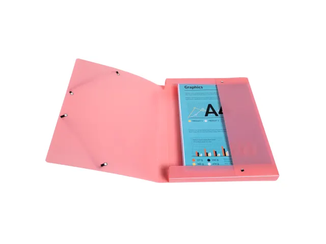 Boite de classement Exabox Dos 25mm Polypropylène 7/10e Chromaline pa