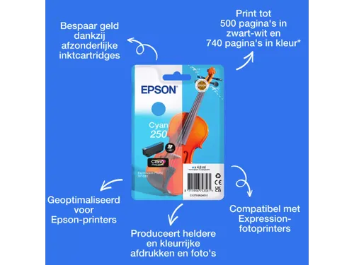 Inktcartridge Epson 250 T16N24 blauw