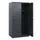 schoollocker,HxBxD 1530x800x500mm,2vak,vak B 400mm,draaigrendel