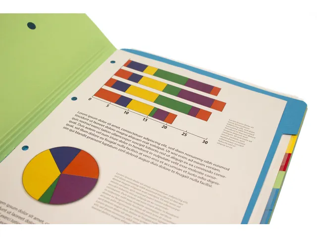 Sorteermap Kangaro 12 tabs