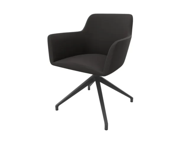 Bezoekersstoel,Draaibaar Voetkruis Epoxypoedercoat.,M. Armleuningen