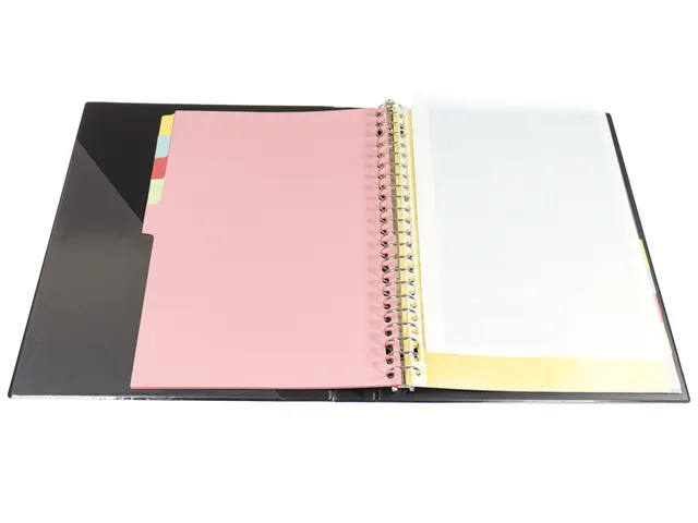 Intercalaires Multo A4 23r blanc carton recyclé 160 grammes 10 divisi