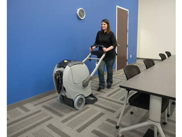 Tapijtreiniger Stofzuiger ES300