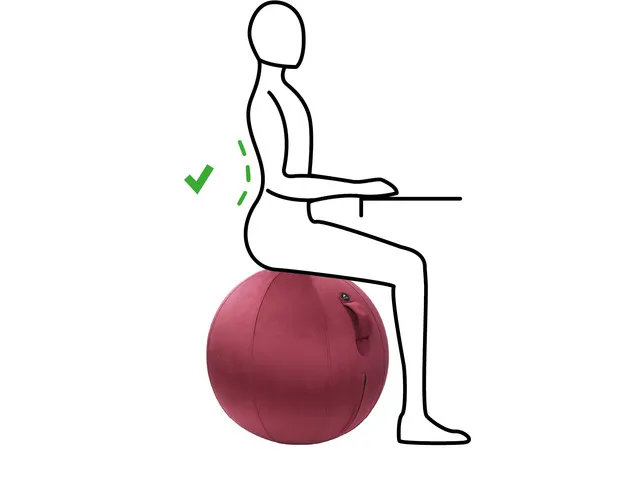 Ergoball ergonomische zitbal bordeaux Ø 65 cm.