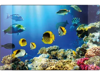 Bureauonderlegger Kangaro PP 38x58cm dessin aquarium - 1